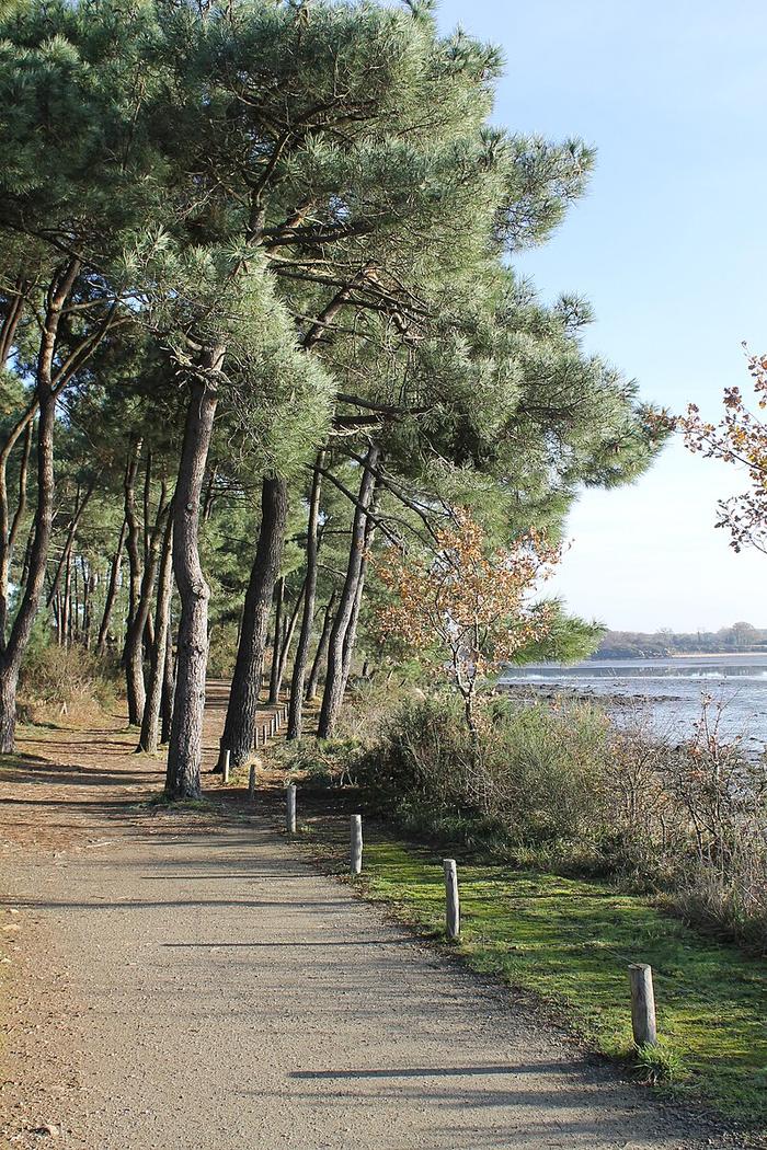 Pointe des Emigrés_Vannes